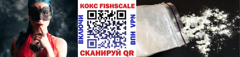 COCAIN Fish Scale  Купить  Мензелинск 